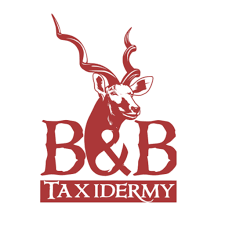 B&B Taxidermy Logo